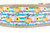Fall Stripe Pumpkin Dog Collar 2" wide
