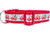 Red dog collar with a white background featuring a repeating pattern of red trucks carrying Christmas trees and presents. 