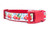 Red dog collar with a white background featuring a repeating pattern of red trucks carrying Christmas trees and presents. 