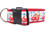 Christmas Delivery Dog Collar  2" wide