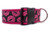 Valentine Kisses Dog Collar 2" wide