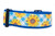 A blue dog collar with a white and blue checkered pattern and a sunflower print.