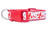 Red dog collar with a white background featuring a repeating pattern of red lobsters or crayfish and black polka dots.