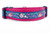 Ocean is Calling Dog Collar 1 or 1.5" wide Ocean is Calling Dog Collar 1 or 1.5" wide