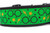 Wizard Glasses Dog Collar 2" wide 