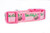 Daddy's MVP Dog Collar 1 or 1.5" wide