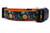 A black and orange dog collar with a Halloween-themed print featuring pumpkins and  witches' hats.