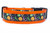 A black and orange dog collar with a Halloween-themed print featuring pumpkins and  witches' hats.