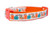 Teal Pumpkin Dog Collar - 5/8 or 3/4" wide - Fall Pumpkin