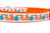 Teal Pumpkin Dog Collar - 5/8 or 3/4" wide - Fall Pumpkin