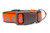 Orange and brown dog collar with a repeating pattern of leopard print pumpkins. 