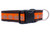 Orange and brown dog collar with a repeating pattern of leopard print pumpkins. 