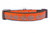 Leopard Pumpkin Dog Collar - 5/8 or 3/4" wide - Fall Pumpkin