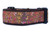 A brown dog collar with a fall-themed pattern. The pattern features colorful leaves and berries on a brown background.