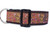 A brown dog collar with a fall-themed pattern. The pattern features colorful leaves and berries on a brown background.