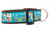 A turquoise blue dog collar with brown nylon. The collar has a repeating pattern of squirrels, acorns, and flowers. The text 'I go nuts for Fall' is printed on the collar.