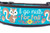 A turquoise blue dog collar with brown nylon. The collar has a repeating pattern of squirrels, acorns, and flowers. The text 'I go nuts for Fall' is printed on the collar.