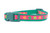 Shamrock dog collar Shamrock dog collar