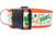 Shake Your Shamrock 2" wide Dog Collar