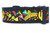 Fiesta Dog Collar 2" wide
