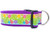 Hawaiian Tropic Dog Collar 2 inch