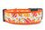 Pumpkin dog collar