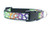A black and white dog collar with a rainbow gradient and a pattern of white ghosts. 
