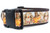 A brown dog collar with a Thanksgiving-themed pattern. The pattern features turkeys, pumpkins, and fall leaves on a white background. 
