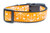 Spiderweb glow dog collar