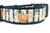 Black dog collar with a white and black striped pattern. The collar features a repeating design of orange pumpkins, fall leaves, and floral accents. 