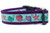 Seashell dog collar