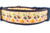 A brown dog collar with a pale orange background and a pattern of turkeys, pilgrim hats, pumpkins, corn and leaves.