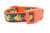Harvest Gourd Dog Collar 1" and 1.5" wide