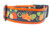 Orange dog collar with a pumpkin and leaf pattern.