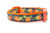 Orange dog collar with a pumpkin and leaf pattern.