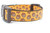 Acorn Fall dog collar 1 inch Acorn Fall dog collar 1 inch