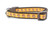A brown dog collar with a pale orange and brown acorn pattern.