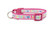 Big sister dog collar