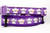 Purple dog collar with a Halloween theme. The collar features a repeating pattern of white ghost figures and the words "Boo" and "Spooky" in colorful letters.
