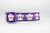 Purple dog collar with a Halloween theme. The collar features a repeating pattern of white ghost figures and the words "Boo" and "Spooky" in colorful letters.