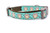 Aqua Owl Dog Collar 5/8 or 3/4" wide