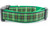 Plaid dog collar