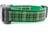 Plaid dog collar