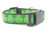 Green celtic shamrock dog collar