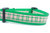 Pink and Green Tartan 1 or 1.5" wide Dog Collar