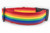 Rainbow Pride dog collar