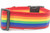 Rainbow Pride dog collar