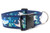 A blue dog collar with a colorful print of hammerhead sharks, rays and bubbles. 
