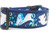Shark 2 inch wide collar