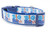 Big brother dog collar 1 inch wide